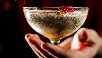 A person holding a cocktail glass with a pale drink and a small garnish, ready to sip, in a close-up shot of a stylish bar setting.